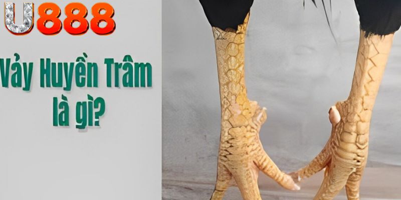 Những ý nghĩa ngầm về loại vảy này